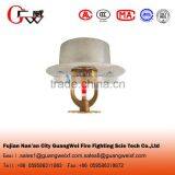 Fire Sprinkler Hidden Camera for Fire Fighting System thumbnail-3