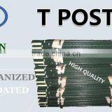 High Quality Low Price Metal T Post Also Named Studded T Post for American Market thumbnail-3