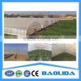 15 Years Warranty 100% Single Span Tunnel Greenhouse thumbnail-4