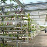 Agricultural Large Size/span Glass Greenhouses for Potatoes/tomatoes thumbnail-2