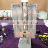 Newest Large Size 630W CMH Grow Light Fixture for Indoor Plant Growth thumbnail-1