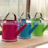 5L Colorful Garden Metal Watering Can thumbnail-2