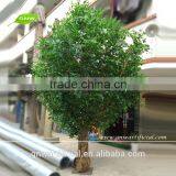 BTR036 GNW Fiber Optic Christmas Tree Decoration Artificial Banian Tree thumbnail-1