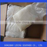 Frozen Giant Squid Fillet