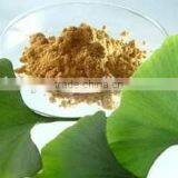 GMP Factory Ginkgo Biloba Extract 24/6 Yajiaotong Flavone 24% Lactones 6% Ginkgobiloba Capsule Ginkgo Biloba Tablet thumbnail-4