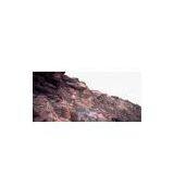 Protecting Fence Net thumbnail-1