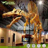 Life Size Dinosaur Fossil Model Replica Spinosaurus thumbnail-2