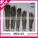 Leading Supplier ringneck pheasant feather