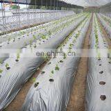 LDPE Silver and Black Mulch Film For Agriculture Usage thumbnail-4