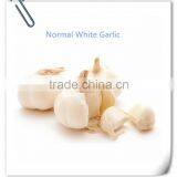 Wholesale New Crop Jinxiang Garlic OEM Garlic Factory Garlic Export thumbnail-1
