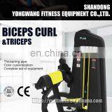 Latest Machine High Quality Professional YW-1753 Training Equipment Biceps Curl&triceps thumbnail-3