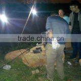 2015 New Stove Generators for Tourist