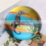 Utility Model Sea Horse Crystal Paperweight Gift thumbnail-1