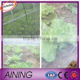 Hot Sale Greenhouse Insect Screen