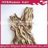 Wholesale Double Drawn Curly Mixed Colors Virgin Brazilian Hair Curly Tape Hair Extensions thumbnail-4