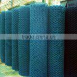 PVC Coated Hexagonal wire mesh(ISO9001:2008)