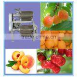 2013 Best Seller Wide Output Range Full Stainless Steel Cherries Pulping Machine