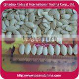 Hot Sale Shine Skin PUMPKIN SEEDS