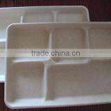 5 Compartment Tray thumbnail-1