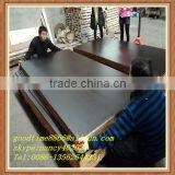 Tego Film Faced Plywood Malaysia thumbnail-1