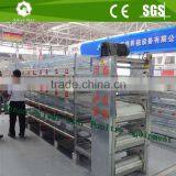 Poultry Raising Hatchery Farm Using Chicken Pullet Battery Cage System