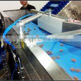 Quality Industrial Belt Conveyors System pu Conveyor Belt thumbnail-2