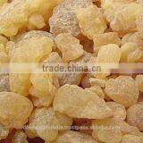 Olibanum Absolute thumbnail-1