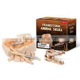Prehistoric Animal Skull Dig Kit, 6 Assorted thumbnail-1