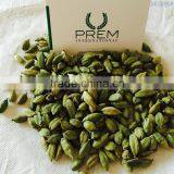 Cardamom thumbnail-1