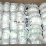 Fresh China Garlic thumbnail-3