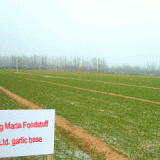 Qingdao Factum Enterprise Ltd. company overview - view 1 thumbnail