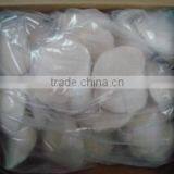 Frozen Scallop thumbnail-2