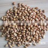Chinese Top Quality Blanched Red Skin Peanut Kernels Without Shell
