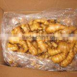 FRESH GINGER thumbnail-1