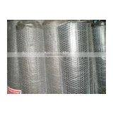 Hexagonal Iron Wire Netting