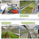 Nft Hydroponics thumbnail-5