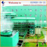 Reliable Quality 500TD Soybean Oil Plant