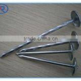 Umbrella Head Roofing Nail/ Galvanized Roofing Nail for Building Decoration Renovation thumbnail-4