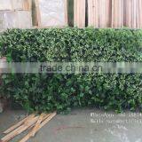 Home Wall Decoration ,green Foliage Wall, Grass Mat for Wall thumbnail-6