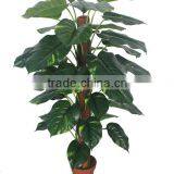 CHY030934 Artificial Plastic Plant Indoor Epipremnum Aureum Bonsai Plant Trees thumbnail-2