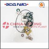 Engine Fuel Injector Repair Kit 2 417 010 008/800017 For Ve Pump Parts Rebulid Kit thumbnail-2