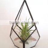 Kure Beach Sea Shells Black Metal Pyramid Ionantha Air Plant Glass Terrarium thumbnail-3