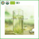 Long Leaf Factory Chinese Organic Green Tea Wholesale thumbnail-5