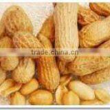 Arachis Oil thumbnail-4