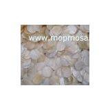 Natural Mother of Pearl Shell Tiles,mother of Pearl Shell Discs,shell Circles thumbnail-1