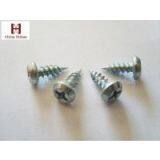 Pan Head Self Tapping Screw thumbnail-2