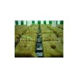 100kg/m3 Hydroponic Rockwool Growing Medium For Fruits Planting