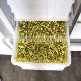 Автоматическая машина для проращивания бобовых проростков