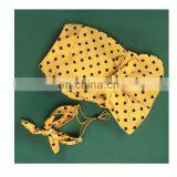 Dog Clothes Summer Thin Lovely Princess Dress Dog One-piece Dress Teddy Corgi Schnauzer Pomeranian Clothing thumbnail-6