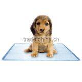 Dog Training Camp Pee in Pad 100 Puppy Pads
